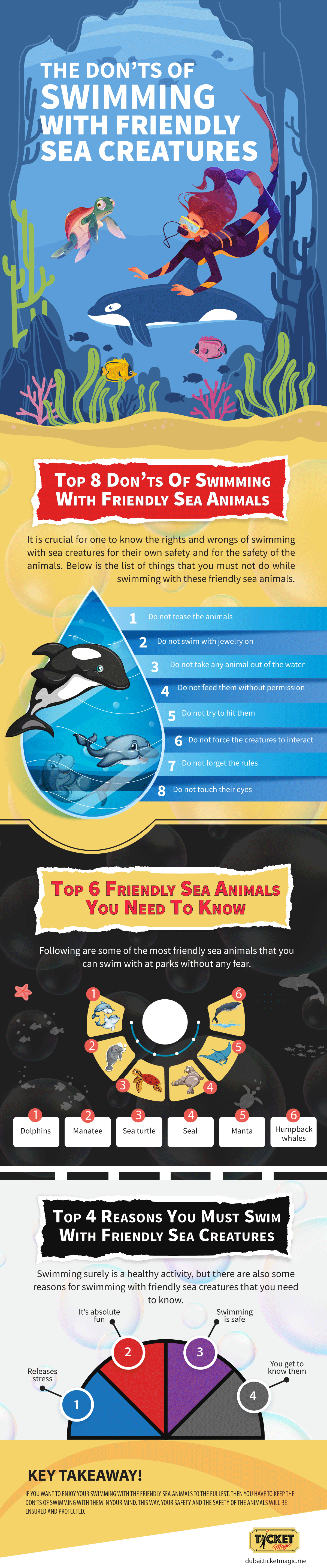 The Don’ts of Swimming with Friendly Sea Creatures